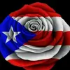 Glorivee Rivera - @userglrivera - TikTok