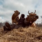 𝐇𝐨𝐥𝐥𝐲【 𝐆𝐋𝐎𝐑𝐘 𝐇𝐈𝐋𝐋𝐒 𝐇𝐎𝐌𝐄𝐒𝐓𝐄𝐀𝐃 】 - @gloryhillshomestead - Instagram
