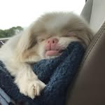 Glory Hill - @glory.hill.9 - Instagram