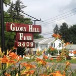 Glory Hill farm - @gloryhillfarm3409 - Instagram