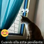 gloria molina vazquez - @glory_molina_vazquez - Instagram