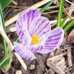 Joy Glover Jones - @joyjones3447 - Instagram