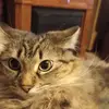 Glover Smith - @glover.smith - TikTok