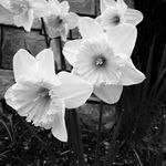 Glyn Carson - @glyn_photography - Instagram