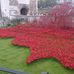 Glyn Johnson - Facebook