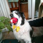 Glyn Owen - @glyn783 - Instagram