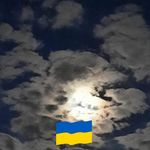 Glyn Owen - @glyn.owen.5477 - Instagram