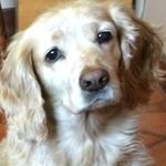 Glyn Owen - @glyn.owen.735 - Instagram