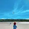 glynowen4 - @glynowen4 - TikTok
