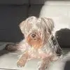 Glyn Parsons - @glyn.parsons - TikTok
