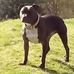 Glyn Powell - Facebook