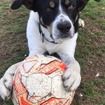 Glyn Price - @glyn.price.315 - Instagram