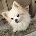 Glyn Smith - Facebook