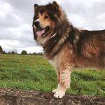 Glyn Walker - @glynwalker1 - Instagram