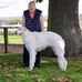 Glynis Allen - Facebook