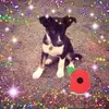glynis_kelly1953 - @glynis_kelly1953 - TikTok
