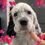Glynis Kelly - @glynis.kelly.5 - Instagram