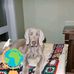 Glynis Shields - Facebook