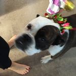 Glynn Phillips - @glynnephillips - Instagram