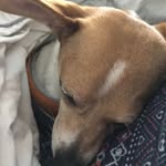 Glynn Thomas - @glynnthomas7 - Instagram