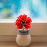 Gobi Nathan - @gobinathan21251 - Instagram