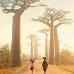 Godfrey Brown - @godfrey.brown.3114 - Instagram