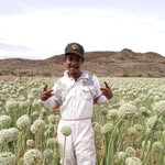 Godfrey Daniels - @godfreydaniels47 - Instagram
