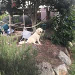 Godfrey._.white Golden🤞🏻💕 - @godfrey._.white.golden - Instagram