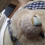 Godofredo Azevedo Vasquez - @lokodecafe1212 - Instagram
