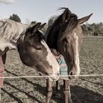Laura Godwin Photography - @godwinlauraphotography - Instagram