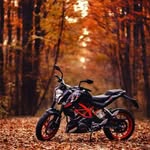 Golden Jackson - @md.hafizforhad - Instagram