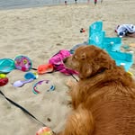 Jackson Henry - @golden.jackson - Instagram