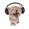 golden__wind - @golden__wind - TikTok