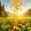 golden wind - @golden.wind53 - TikTok