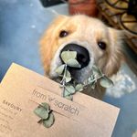 ʙᴀɪʟᴇʏ.ᴄ | ɢᴏʟᴅᴇɴ ʀᴇᴛʀᴇɪᴠᴇʀ - @bailey.c.goldie - Instagram