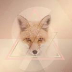 Goldie Fox - @goldenfoxrox - Instagram