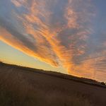 Thomas Goldie - @thomasgoldie6 - Instagram