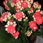 @gonca__demirci2023 - Instagram