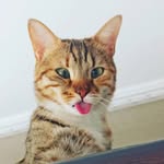 Gonca Demirci - @goncaddemirci - Instagram