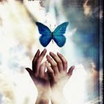 GONCA DEMIRCI - @guldemircig - Instagram
