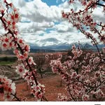 Gonca Demirci (artaç) - @gonca8797 - Instagram