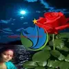Gopal Chaudhari669 - @gopalchaudhari72 - TikTok