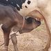 Gopal Reddy - Facebook