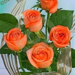 @gopiahuja4 - Instagram