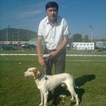 Goran Jovanovic - @goran_jovanovicts - Instagram