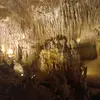 Goran - @goranjovicic425 - TikTok