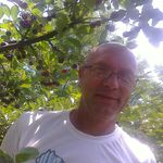 Goran Spasic - @spaske63 - Instagram