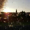 Emma - @gorden.lange - TikTok