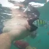 Gordon Back - @0 - TikTok