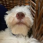 Gordon Hoddinott Back - @chroniclesofgordon - Instagram